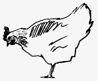 Transparent Chicken Clipart Black And White - Chickhen Clip Art Black And White, HD Png Download, Transparent PNG