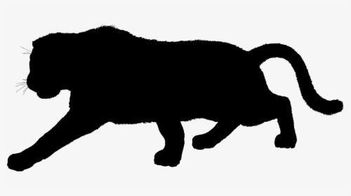 Black Panther Full Body - Silhouette Panther, HD Png Download, Transparent PNG