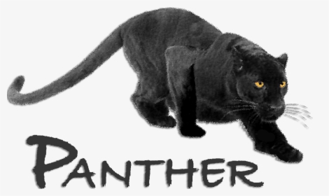 Transparent Panther Head Png - Black Panther Animal Crouching, Png Download, Transparent PNG
