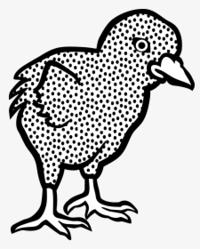 Rhode Island Red Drawings, HD Png Download, Transparent PNG