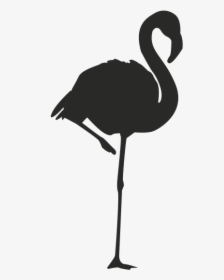 Flamingo Logo Silhouette Clip Art - Silhouette Flamingo Clipart, HD Png Download, Transparent PNG