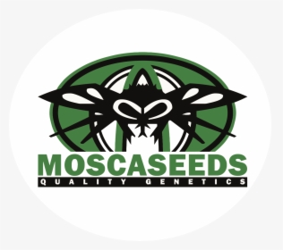 Mosca Seeds - Mosca Seeds Logo, HD Png Download, Transparent PNG