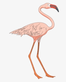 Pink Bird Wings Free Picture - Cartoon Flamingo Legs, HD Png Download, Transparent PNG