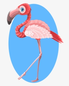Flamingo Free To Use Cliparts - Flamingo Drawing, HD Png Download, Transparent PNG