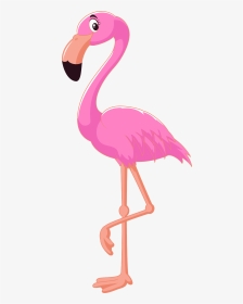 Pink Flamingo Clipart, HD Png Download, Transparent PNG