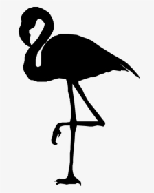 Clip Art Silhouette Scalable Vector Graphics Flamingo - Silhouette Flamingo Clipart Png, Transparent Png, Transparent PNG