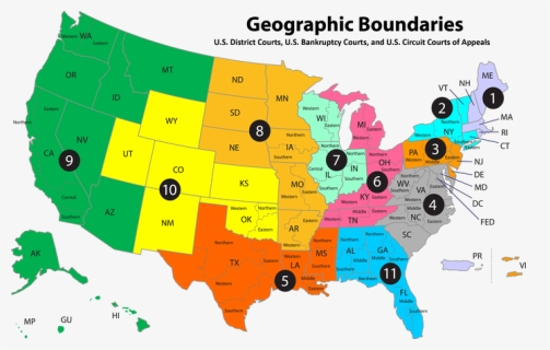 Circuit Court Of Appeals Map Are There Scholars In Your State - Map Of Where Green Iguanas Live, Hd Png  Download , Transparent Png Image - Pngitem