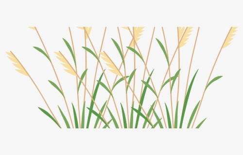 Weeds PNG Images, Transparent Weeds Image Download - PNGitem