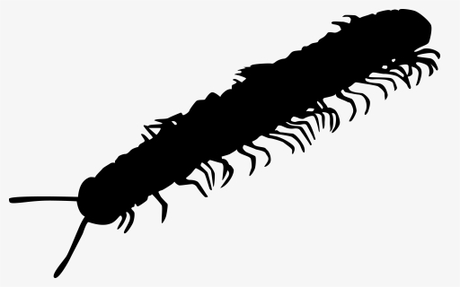 Millipede Png, Transparent Png , Transparent Png Image - PNGitem