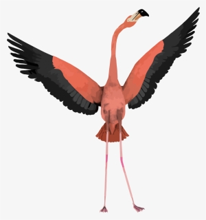 Flamingo With Wings Open, HD Png Download, Transparent PNG