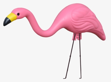Flamingo,greater Flamingo,bird,pink,water Bird,beak,neck,animal - Transparent Plastic Flamingo Png, Png Download, Transparent PNG