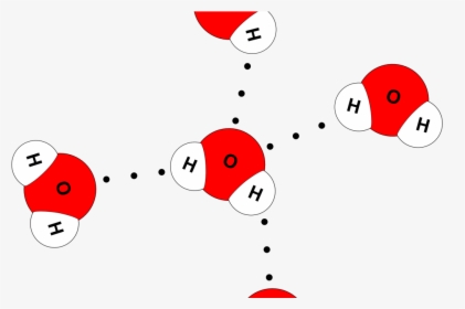 Water Molecule 4 Hydrogen Bonds , Png Download - Water Molecule 4 Hydrogen Bonds, Transparent Png, Transparent PNG