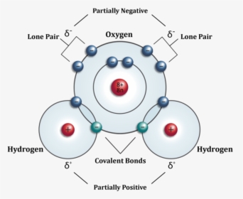 Picture - Structural Diagram Of Water Molecule, HD Png Download, Transparent PNG