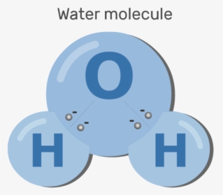 An Image Showing Sharing Electron Process Between Water - Chemical Properties Of Water Molecule, HD Png Download, Transparent PNG