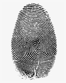 Transparent Background Fingerprint Png, Png Download, Transparent PNG