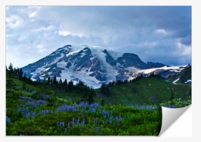 Summer At Mount Rainier - Mount Rainier National Park, Nisqually Glacier, HD Png Download, Transparent PNG