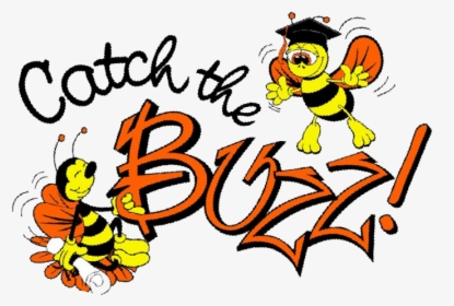 Catch The Buzz - Bee Buzz, HD Png Download, Transparent PNG