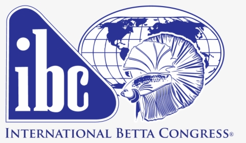 International Betta Congress, HD Png Download, Transparent PNG