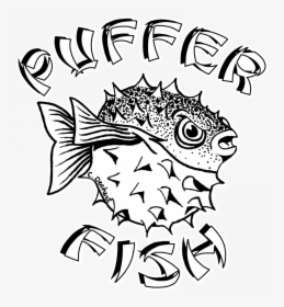 Fish Drawing Easy Video Cute Tutorial Betta Free Books - Pufferfish Drawings, HD Png Download, Transparent PNG
