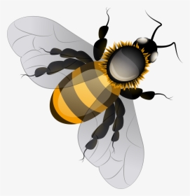 Bee Png Clip Art - Transparent Background Bee Png, Png Download, Transparent PNG