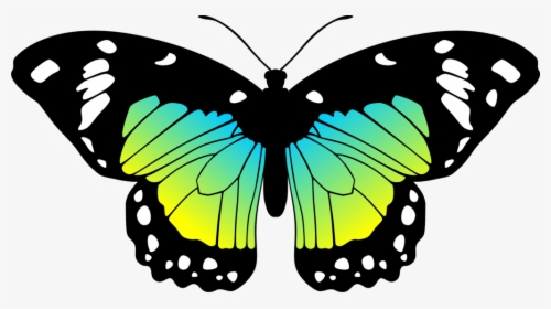 Moves Clipart Real Butterfly Pencil And In Color Moves - Butterfly Black And Pink, HD Png Download, Transparent PNG