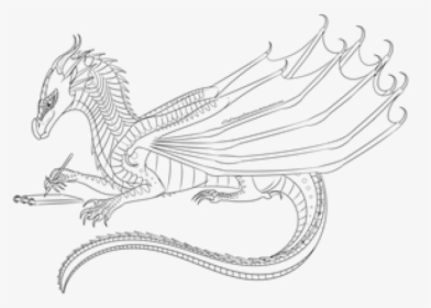 Betta Clipart Black And White - Sketch, HD Png Download, Transparent PNG