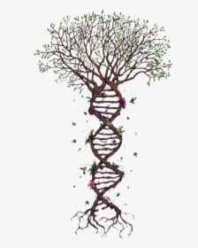 Transparent Spiral Clipart - Tree With Dna Roots, HD Png Download, Transparent PNG