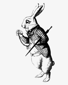 White Rabbit Alice In Wonderland Book - Rabbit With Pocket Watch, HD Png Download, Transparent PNG