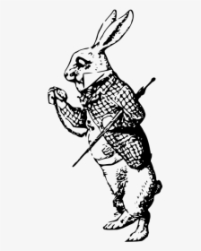 White Rabbit Alice S Adventures In Wonderland Mad Hatter - Rabbit Alice In Wonderland Drawing, HD Png Download, Transparent PNG
