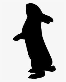Recherche Google Rabbit Silhouette, Silhouette Art, - Silhouette Rabbit, HD Png Download, Transparent PNG
