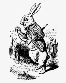 Alice Wonderland Fantasy - Rabbit Alice In Wonderland Drawing, HD Png Download, Transparent PNG