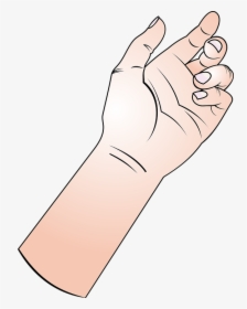 Hand, Fingers, Forearm, Arm, Thumb, Finger, Human, - Hand Holding Something Cartoon, HD Png Download, Transparent PNG