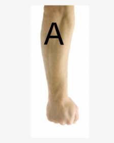 Temporary Tattoo, HD Png Download, Transparent PNG