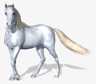 3d Horse Png - White Horse Images Hd Png, Transparent Png, Transparent PNG