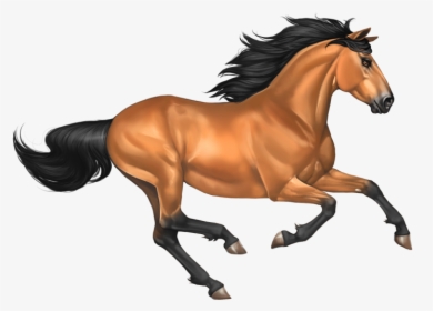 Transparent Horse Png - Horse Mustang Png, Png Download, Transparent PNG