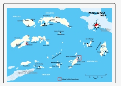 Maluku Map, HD Png Download, Transparent PNG