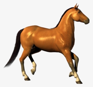 Horse Png Eohippus - Background Horse Images Hd, Transparent Png, Transparent PNG