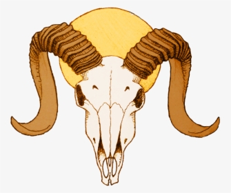 Goat Animal,clip Antelope - Skull Goat Horns Drawing, HD Png Download, Transparent PNG