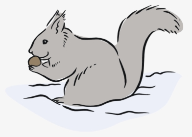 Squirrel Black And White Free Squirrel Clipart - Gray Squirrel Clipart, HD Png Download, Transparent PNG