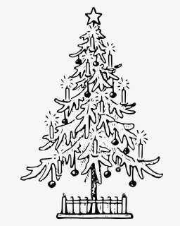 Christmas Christmas Tree Confer - Christmas Tree Drawing Png, Transparent Png, Transparent PNG