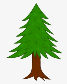 Wtf Scatterbrain Coniferoustree - Forest Tree Drawing With Color Png, Transparent Png, Transparent PNG