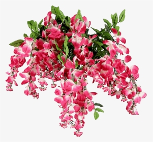 Admired By Nature Artificial Wisteria Long Hanging - Tlr 01 1a Forever Fuchsia, HD Png Download, Transparent PNG