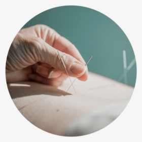 Acupuncture-circle - Circle, HD Png Download, Transparent PNG