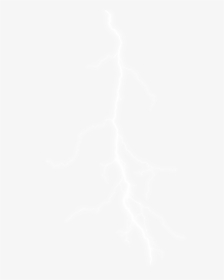 Johns Hopkins White Logo, HD Png Download, Transparent PNG