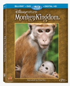 Monkey Kingdom - Disneynature Monkey Kingdom Blu Ray, HD Png Download, Transparent PNG