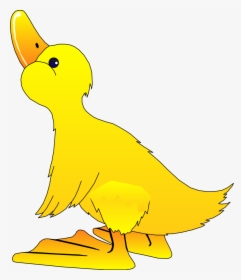 Bird Clipart Vector - Free Clipart Duck, HD Png Download, Transparent PNG