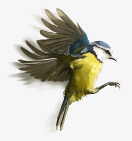 Birds Free Vector - Picsart Birds Png Hd, Transparent Png, Transparent PNG