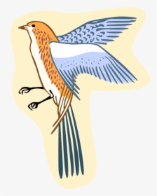 Vector Illustration Of Feathered Bird - Perching Bird, HD Png Download, Transparent PNG