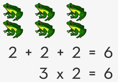 Teaching The Concept Of Multiplication - Agalychnis, HD Png Download, Transparent PNG