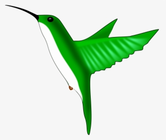 Hummingbird Clipart Vector Clip Art Online Royalty - Hummingbird Clipart Easy, HD Png Download, Transparent PNG